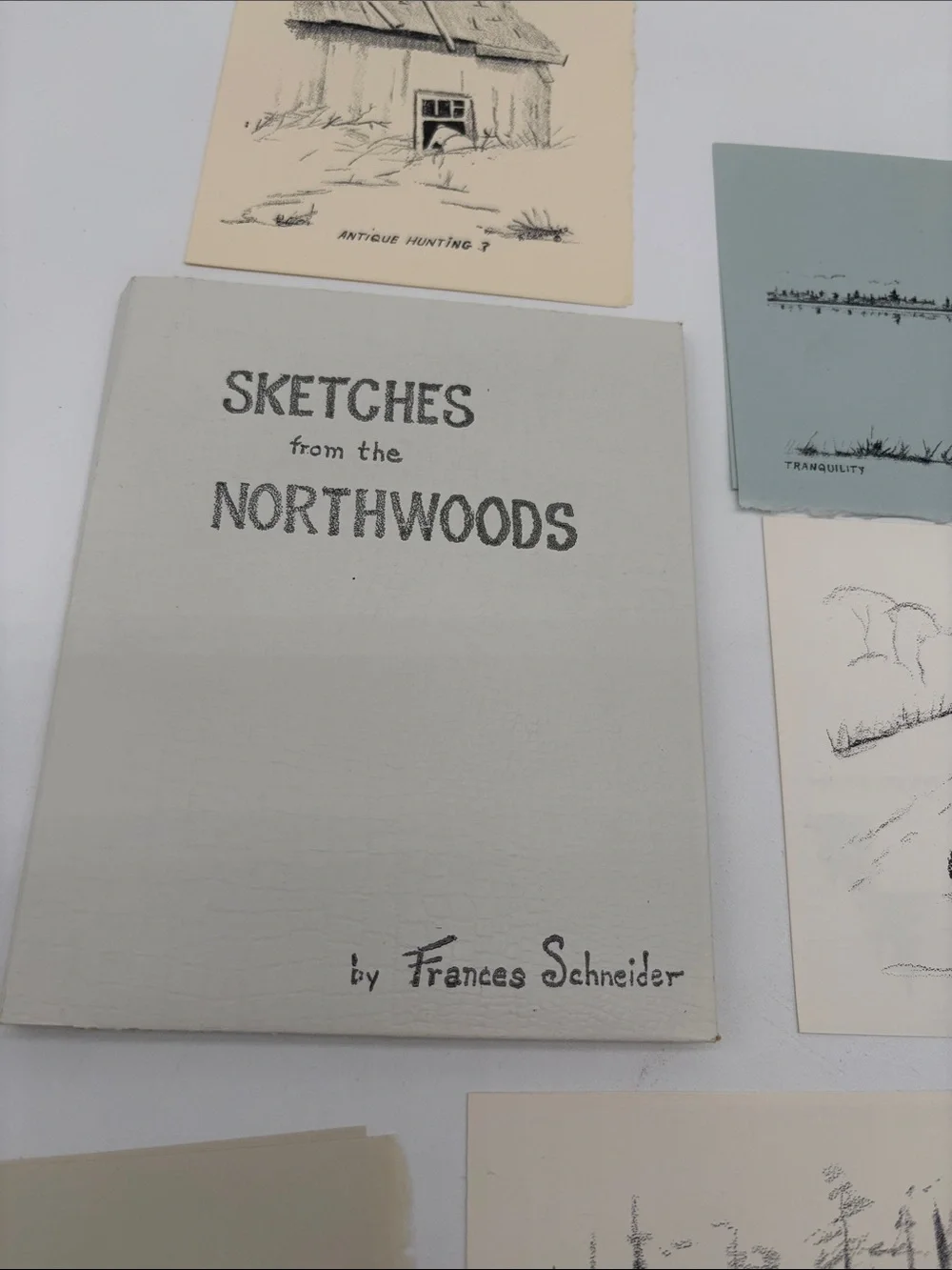 Lot of 6 Blank Cards Sketches from the Northwoods by Frances Schneider